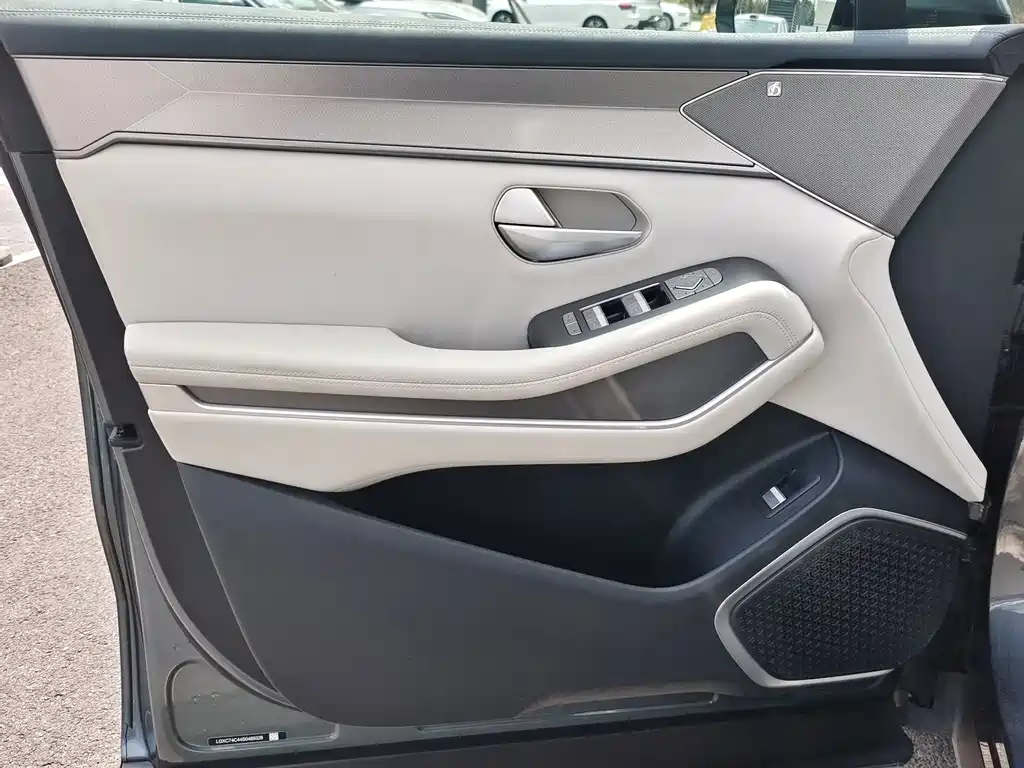 BYD Дон Л. — миниатюра 16