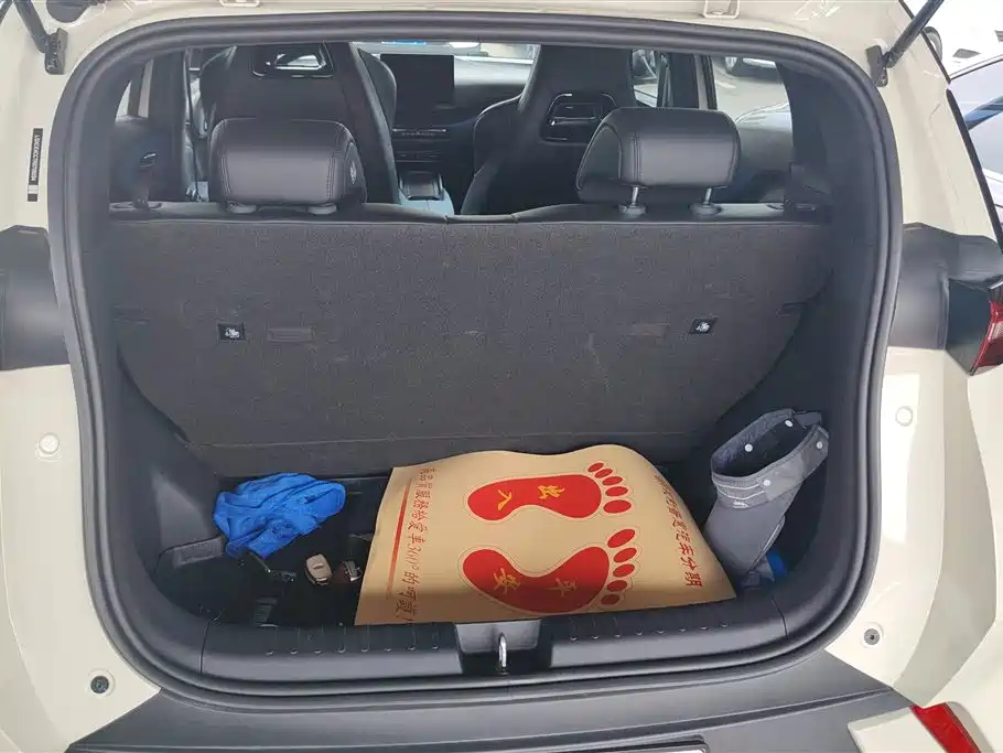 BYD Seagull 2024 305km Freedom
