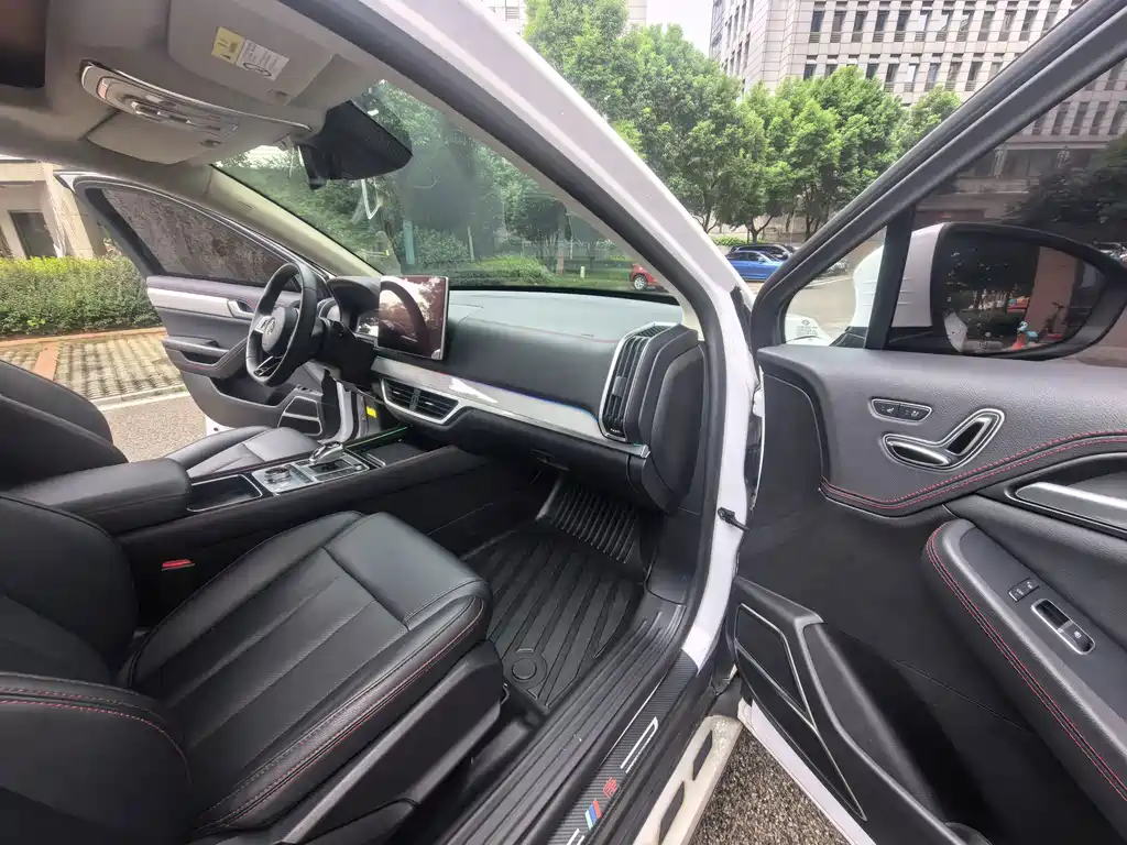 BYD Tang New Energy — миниатюра 13