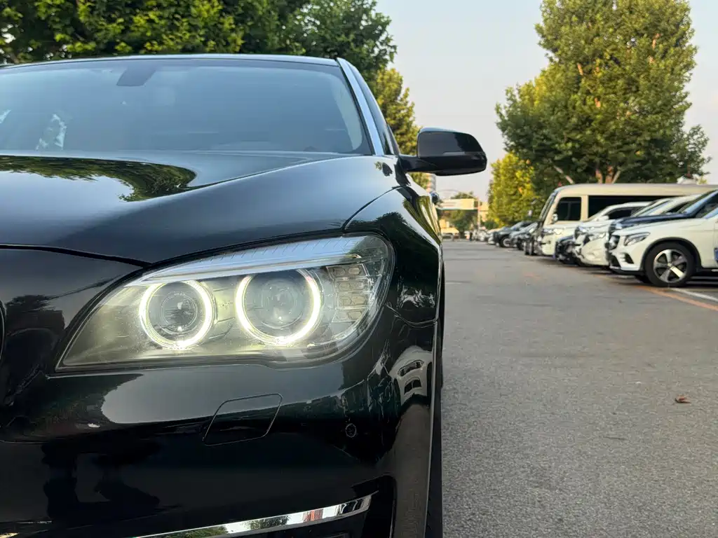 BMW 7 Series 730Li Premium Enjoy Type, фото 14