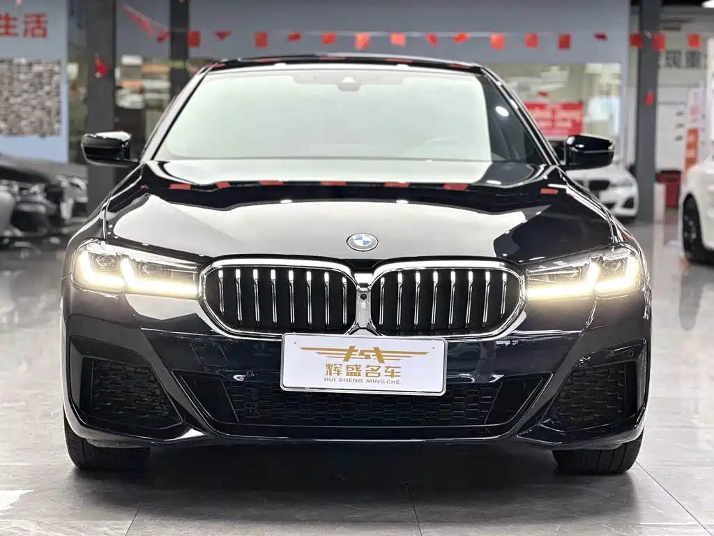 BMW 5 Series — миниатюра 2
