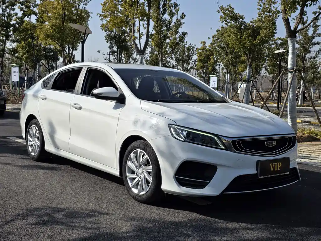 GEELY AUTOMOBILE BINRUI