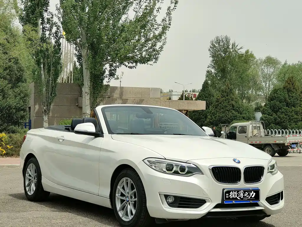 BMW 2 Series (Import) 218i Convertible Coupe, фото 3