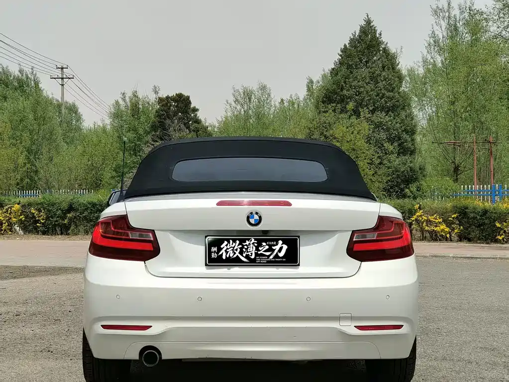 BMW 2 Series (Import) 218i Convertible Coupe, фото 8