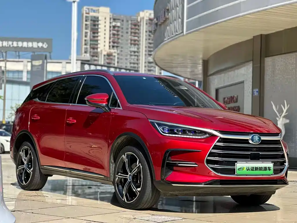BYD Tang New Energy - фото 3