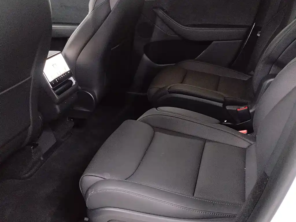 Tesla Model Y L — миниатюра 6
