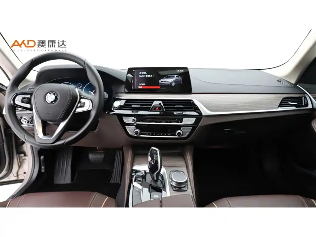 BMW 5 Series 5 2019 530Li Lead Luxury