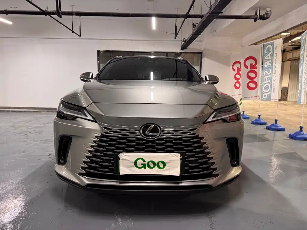 Lexus RX New Energy