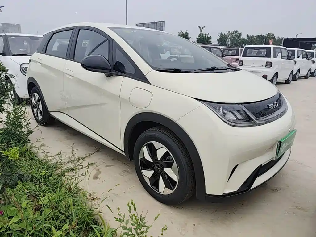 BYD Dolphin 2025 420km Freedom
