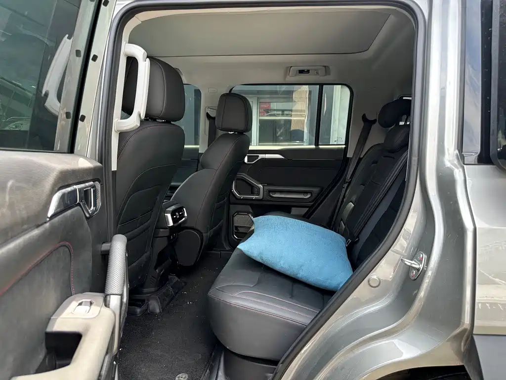 Shanhai Traveller C-DM — миниатюра 4