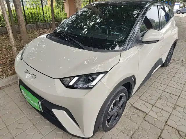 2024 BYD Seagull