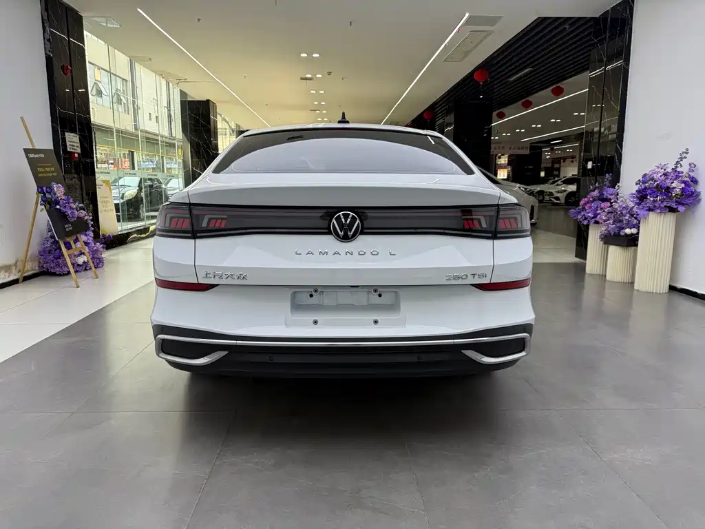 Volkswagen Lamando — миниатюра 4