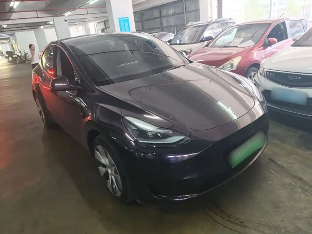 Tesla Model Y — миниатюра 4