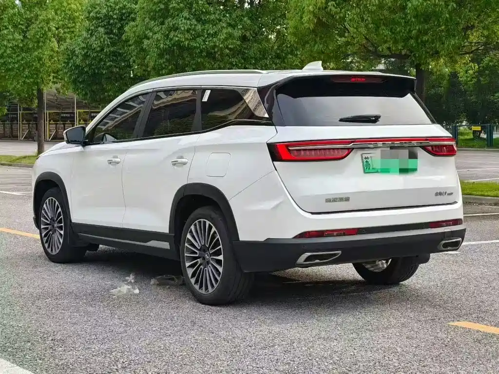 Shanhai Shanhai L9 — миниатюра 9