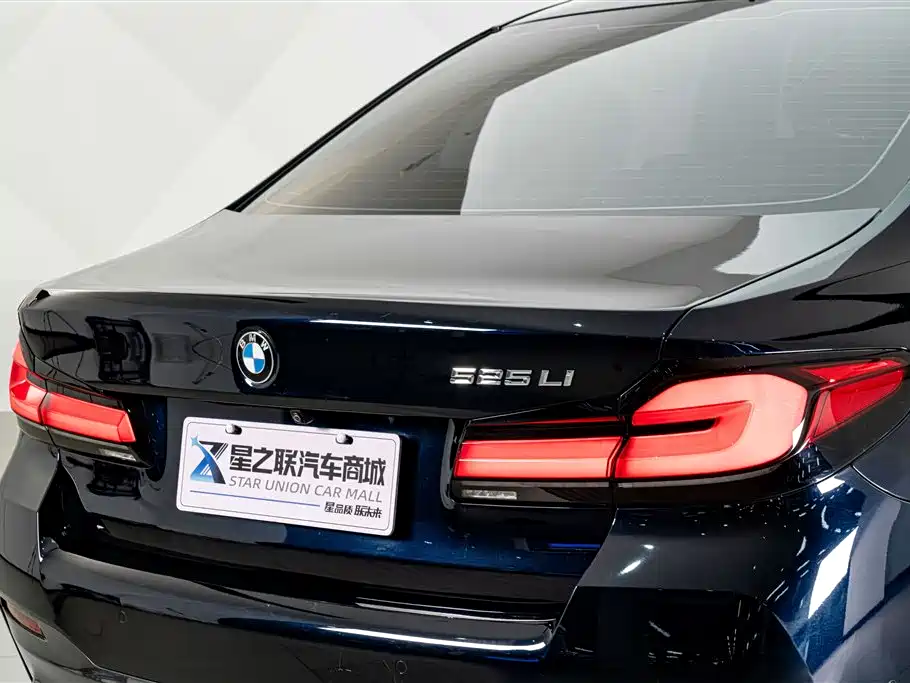 BMW 5 Series — миниатюра 8