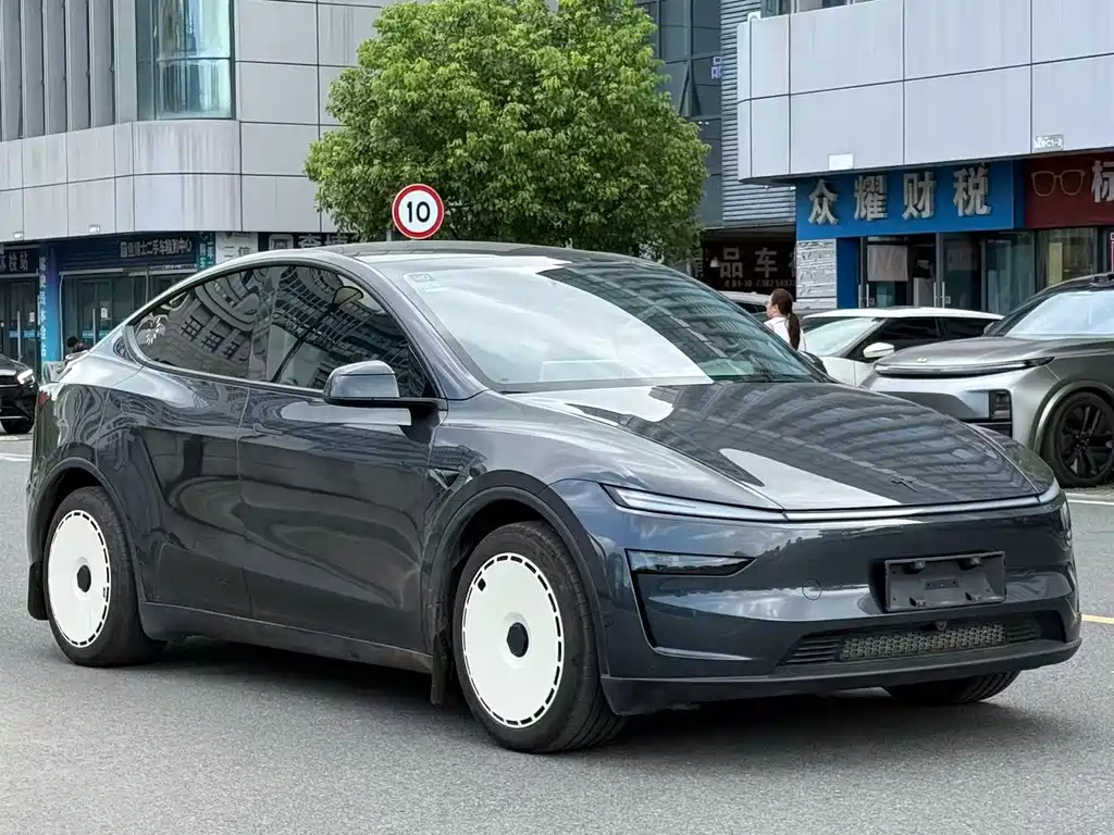 Tesla Model Y — миниатюра 2
