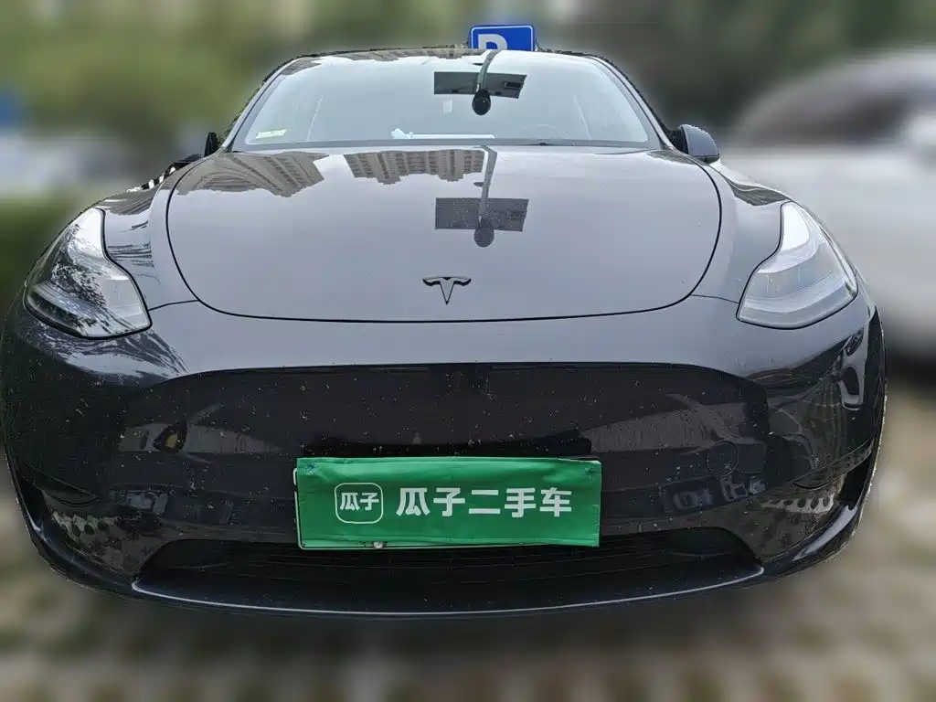 Tesla Model Y — миниатюра 2