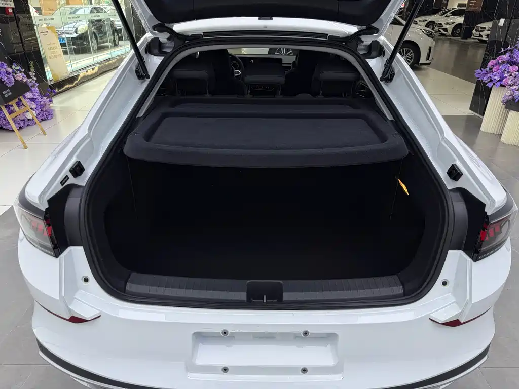 Volkswagen Lamando — миниатюра 22