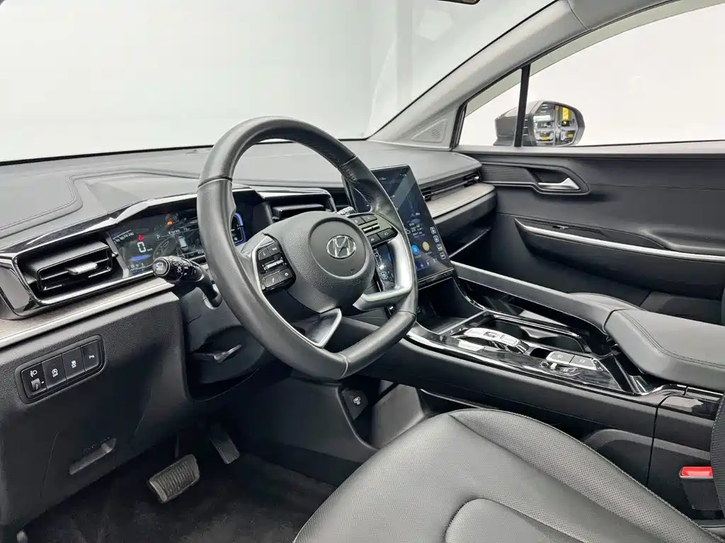 Hyundai Custo — миниатюра 13