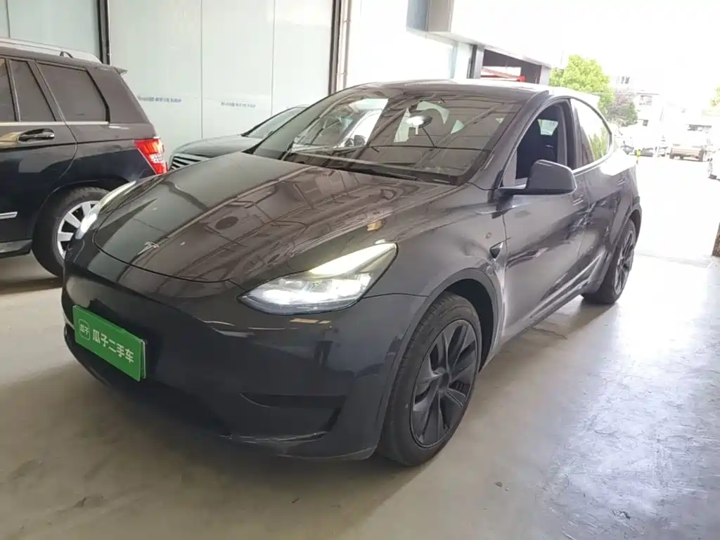 Tesla Model Y — миниатюра 2