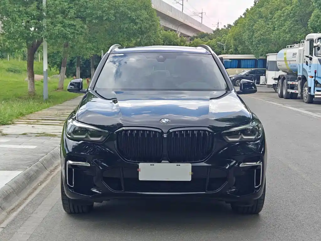 BMW X5 — миниатюра 3