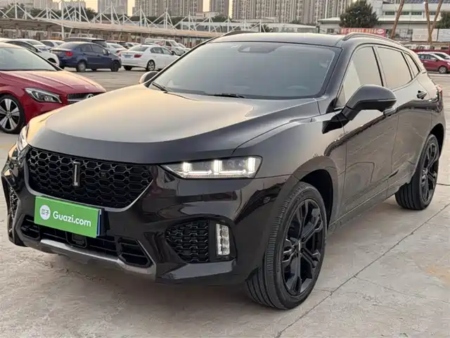 WEI PAI WEI BRAND VV7 2019