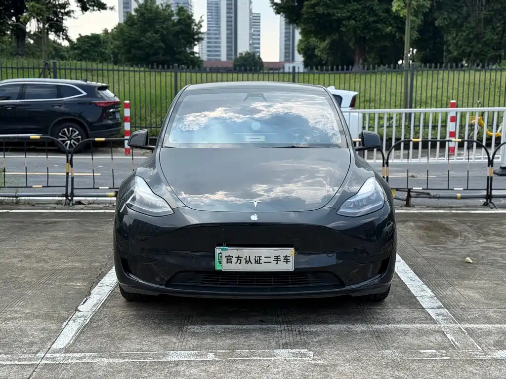 Tesla Model Y — миниатюра 2