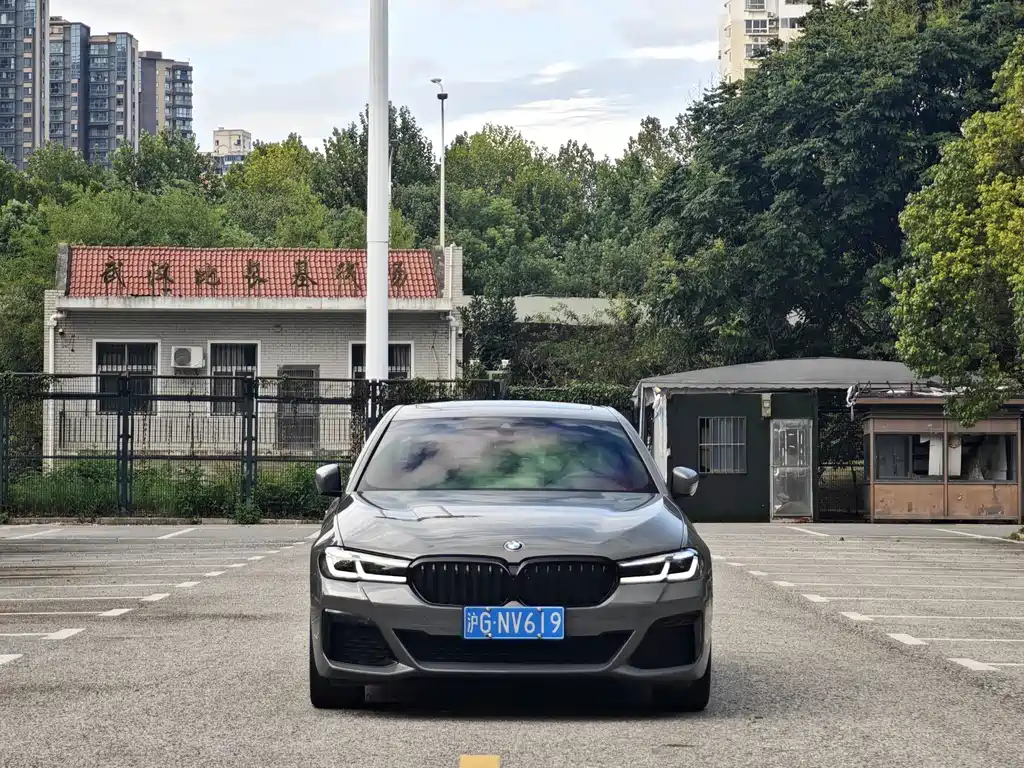 BMW 5 Series (Import) — миниатюра 2