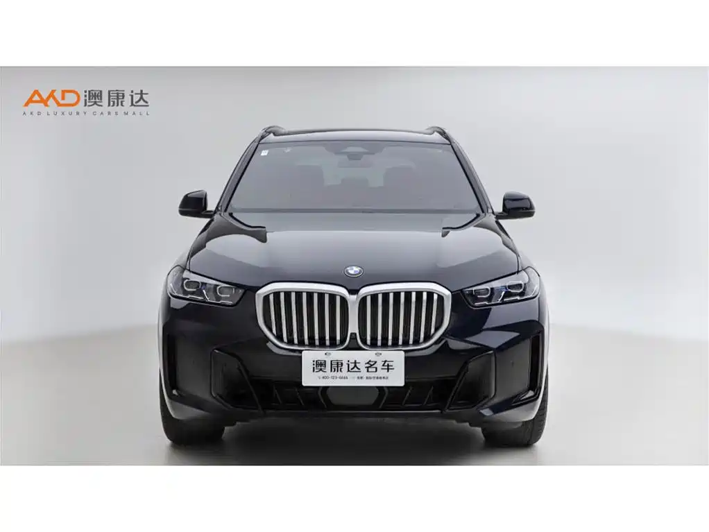 BMW X5 — миниатюра 2
