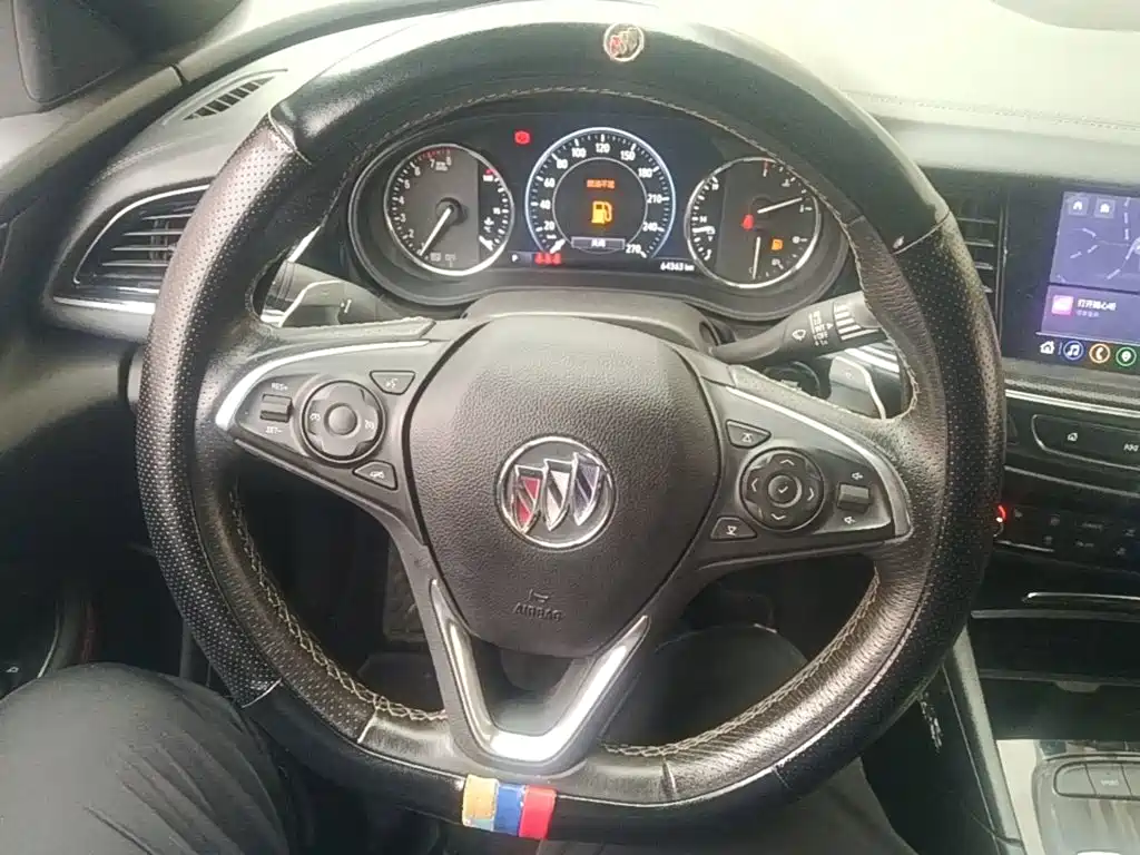 Buick Regal — миниатюра 11