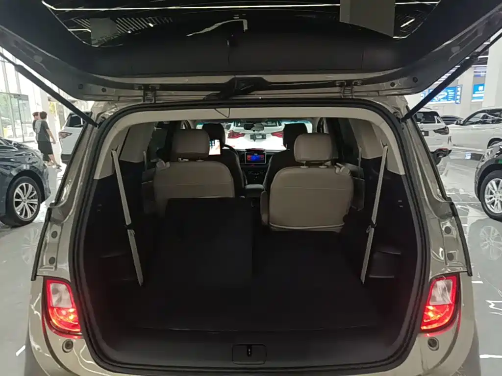 Buick GL6 — миниатюра 19