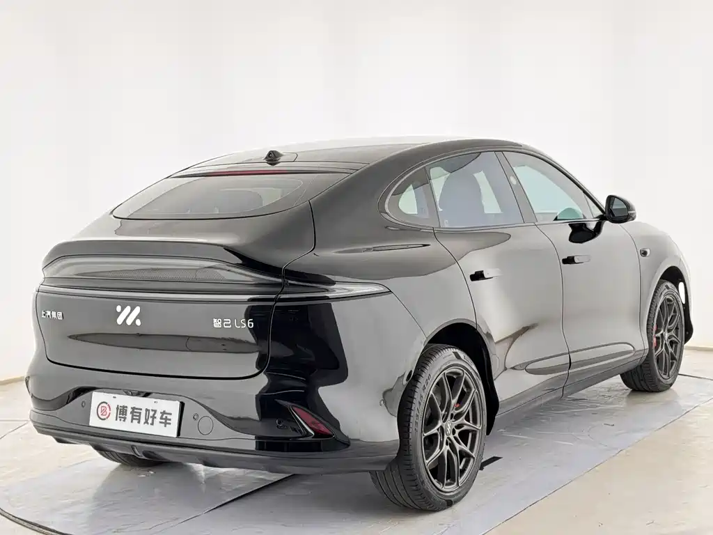 IM IM LS6 — миниатюра 8