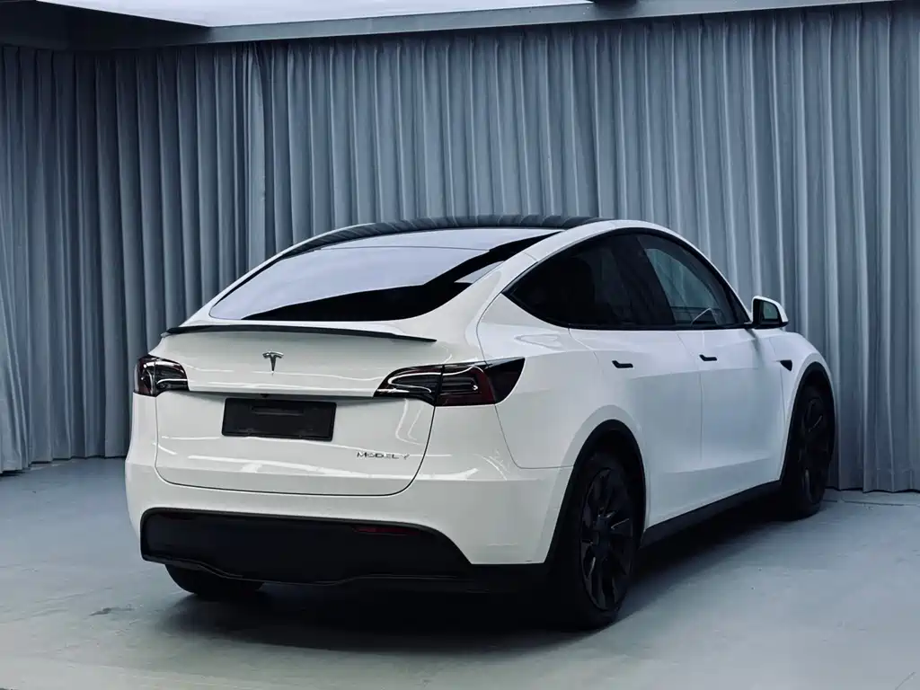 Tesla Model Y — миниатюра 5