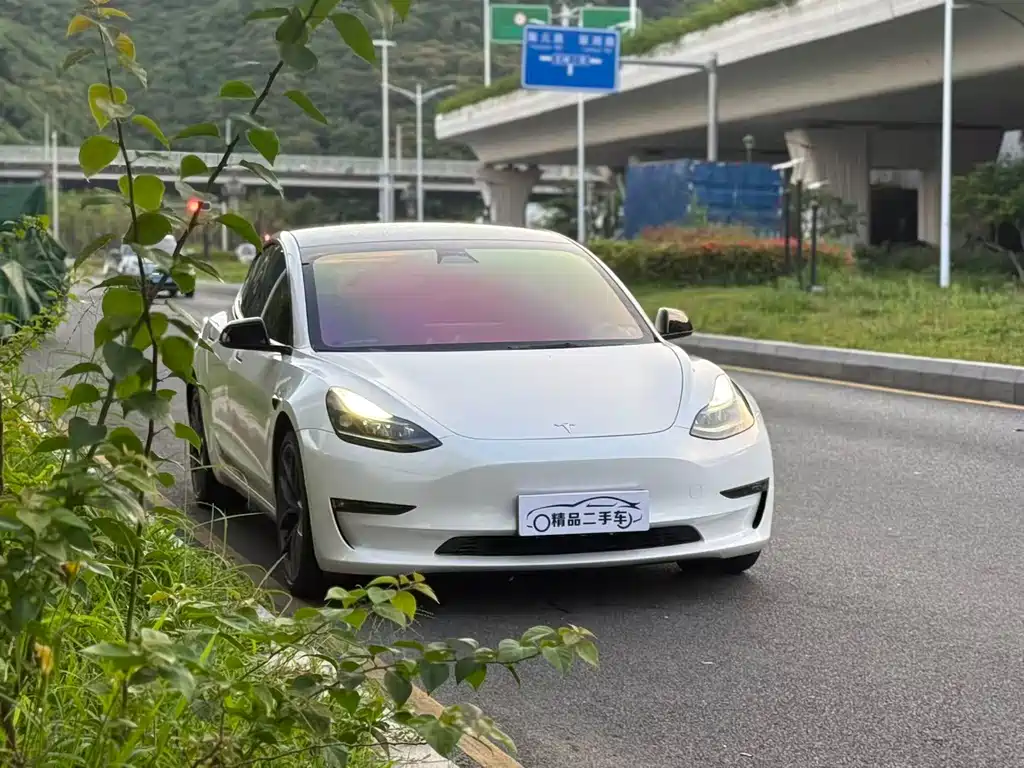 Tesla Model 3 — миниатюра 3