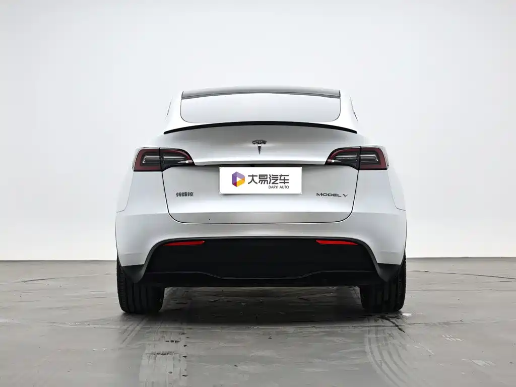 Tesla Model Y — миниатюра 4