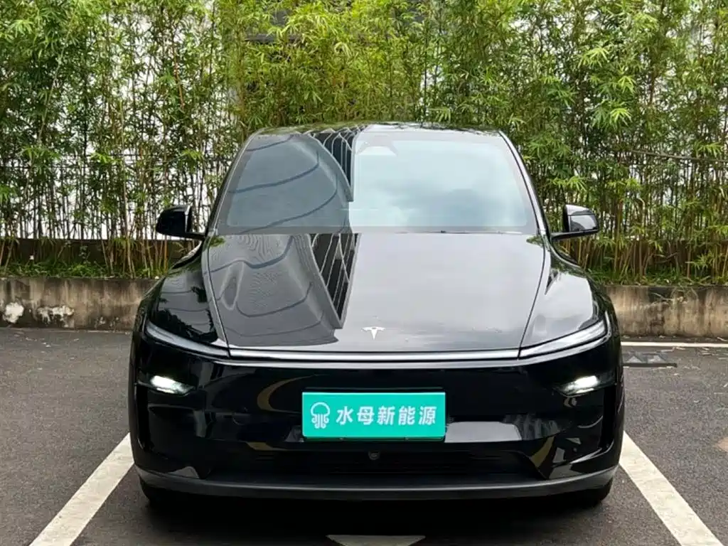 Tesla Model Y — миниатюра 2