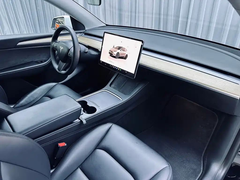 Tesla Model Y — миниатюра 14