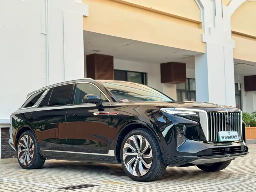 Hongqi Hongqi E-HS9 — миниатюра 3