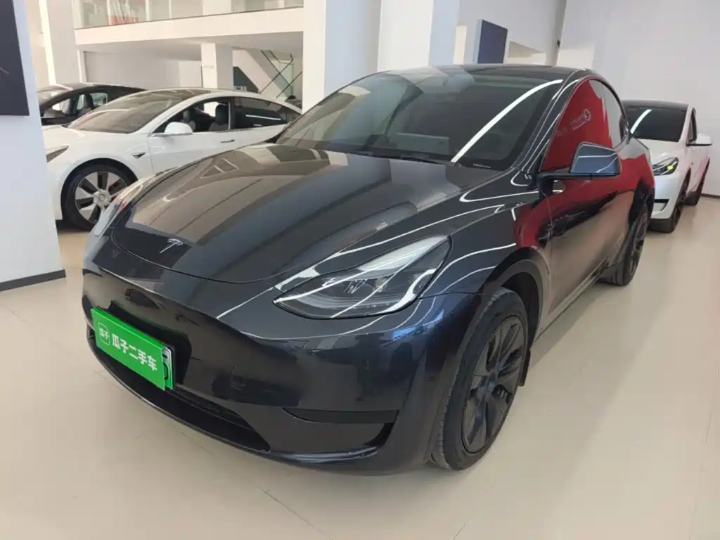 Tesla Model Y — миниатюра 2