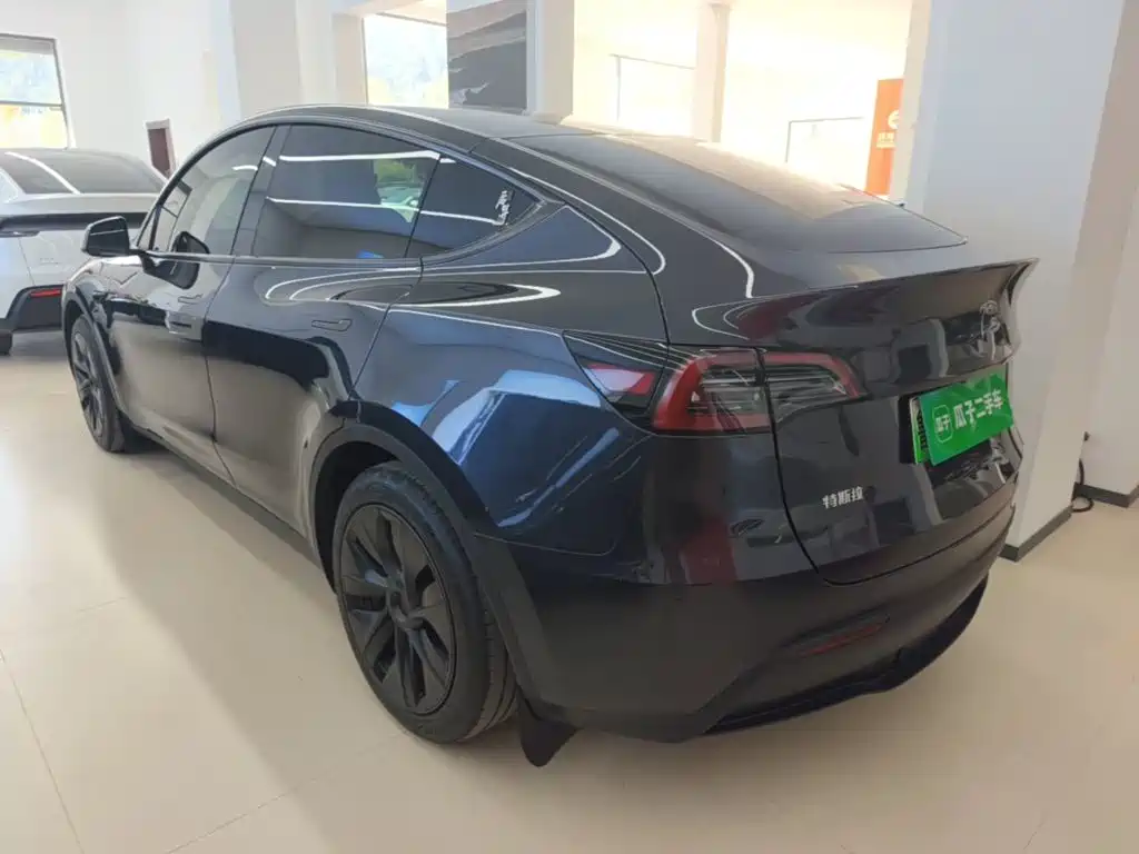 Tesla Model Y — миниатюра 5