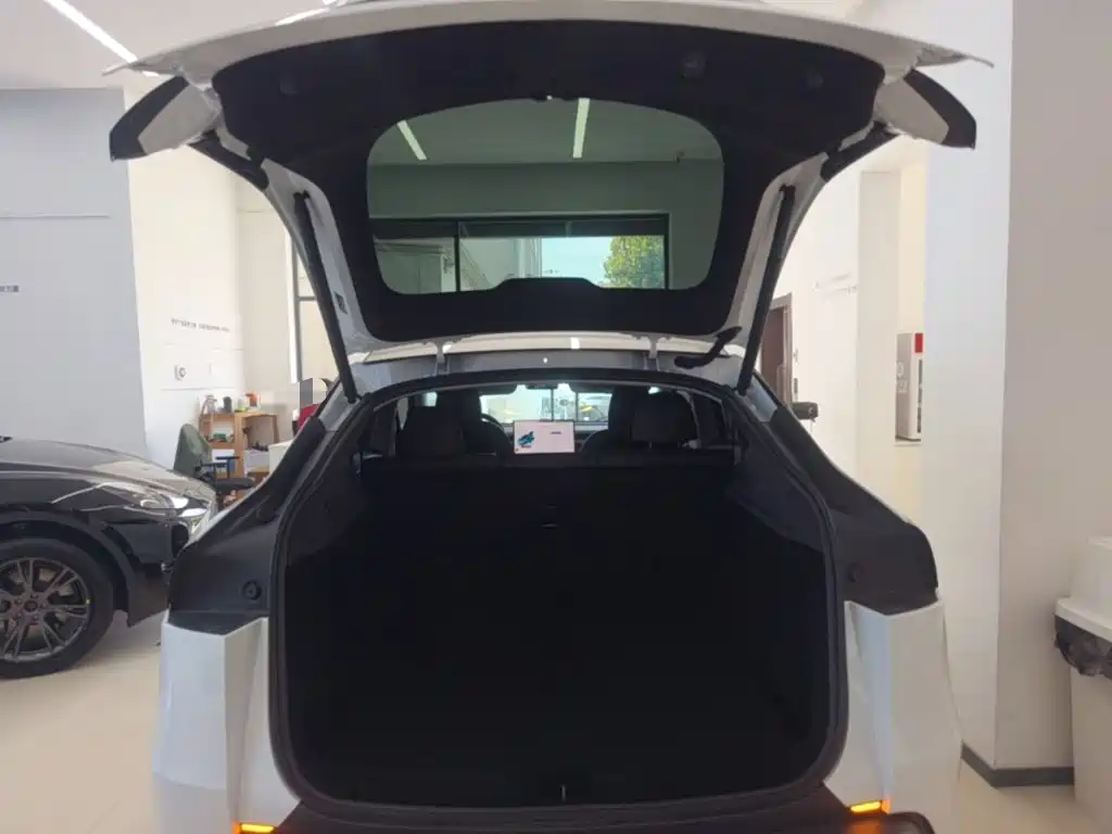 Tesla Model Y — миниатюра 19