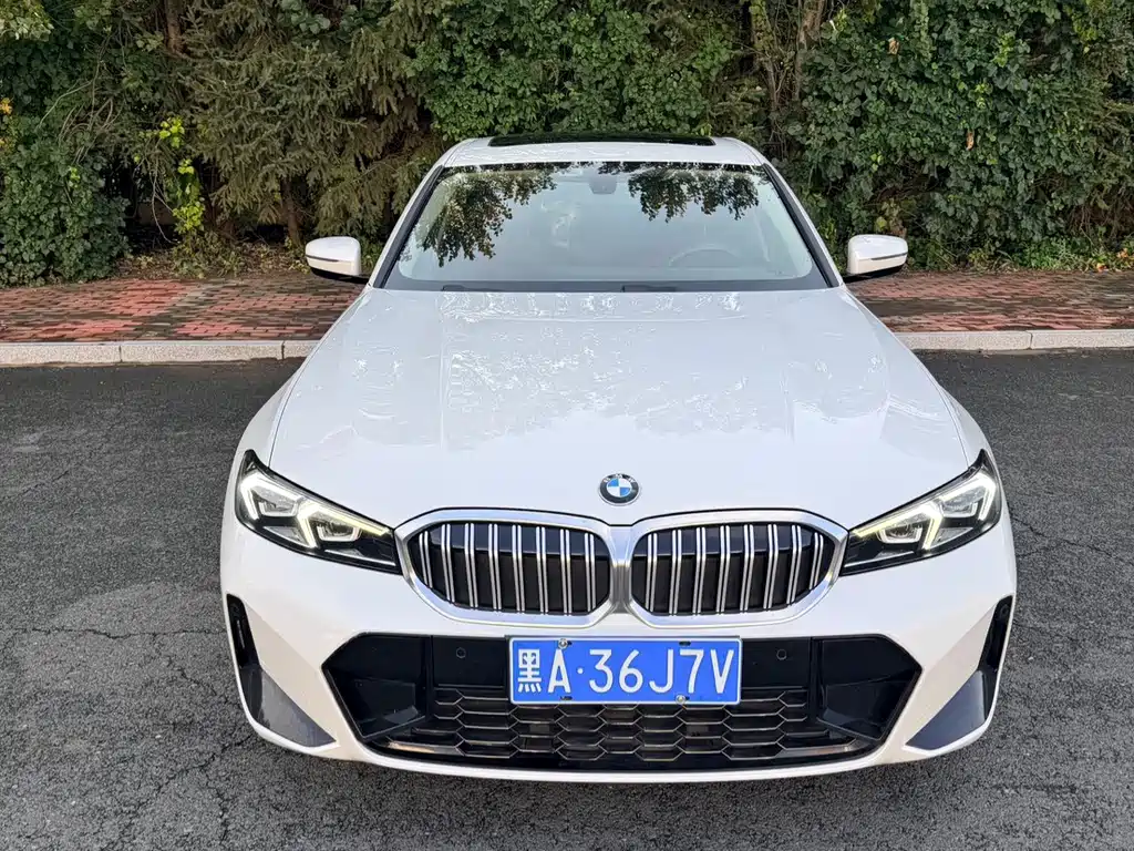 BMW 3 Series — миниатюра 2