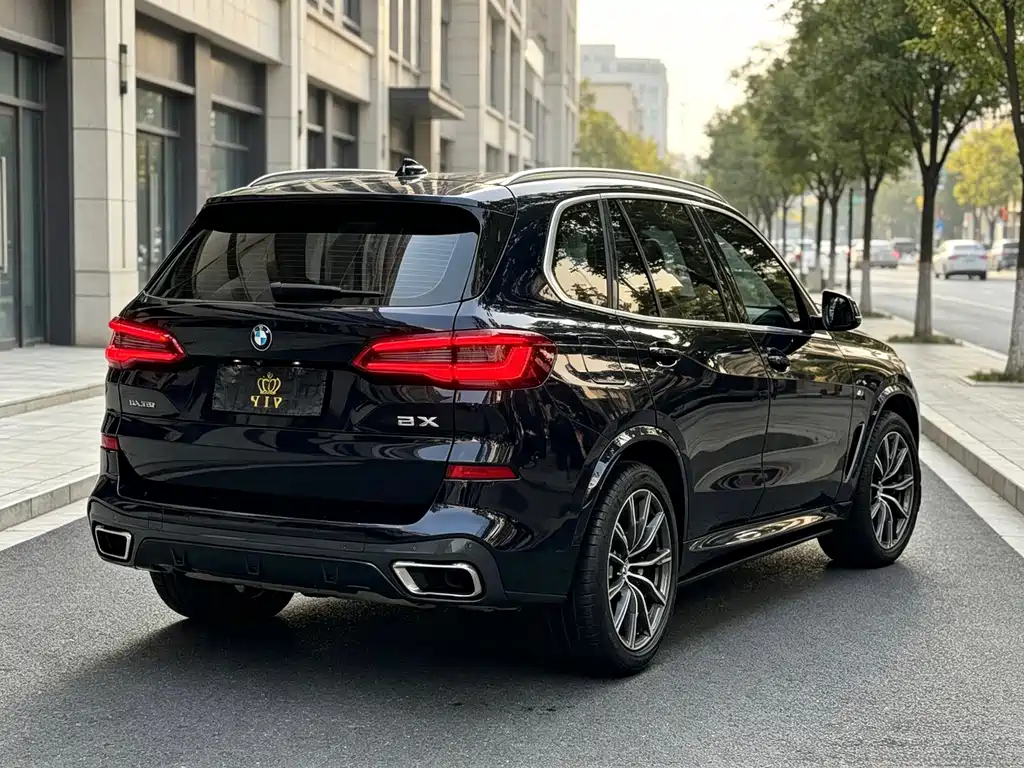 BMW X5 (Import) — миниатюра 9