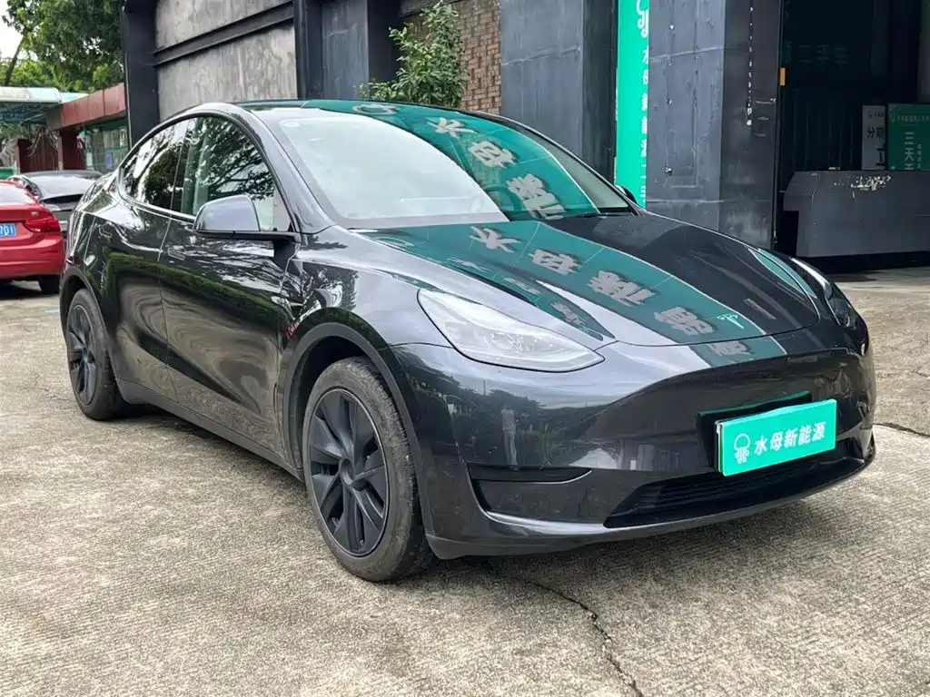 Tesla Model Y — миниатюра 12