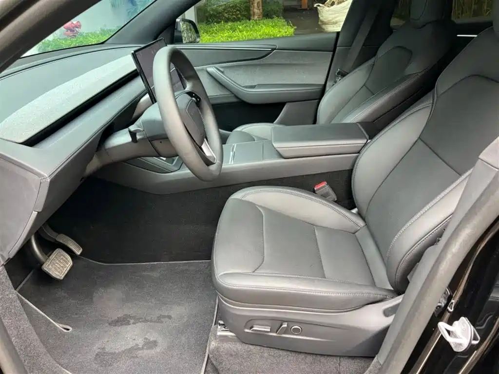Tesla Model Y — миниатюра 4