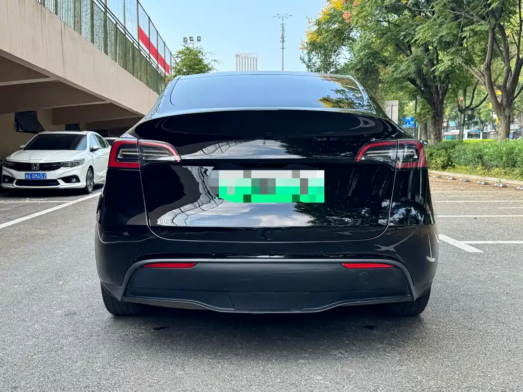 Tesla Model Y — миниатюра 4