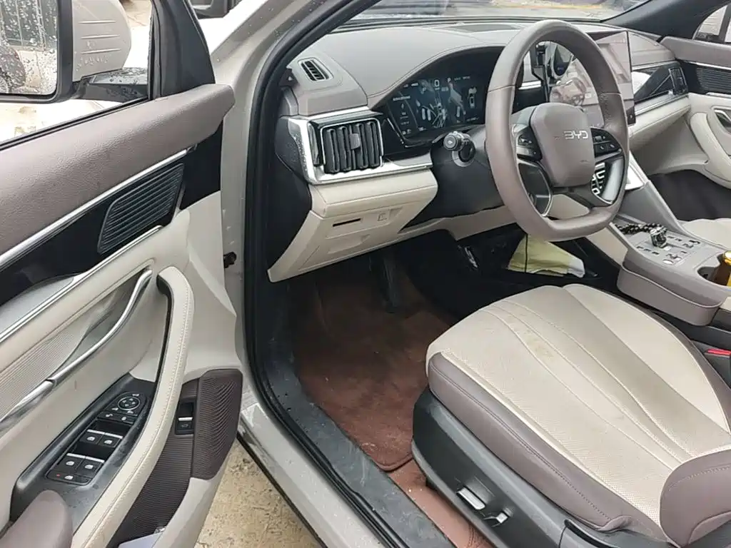 BYD PLUS New Energy — миниатюра 16