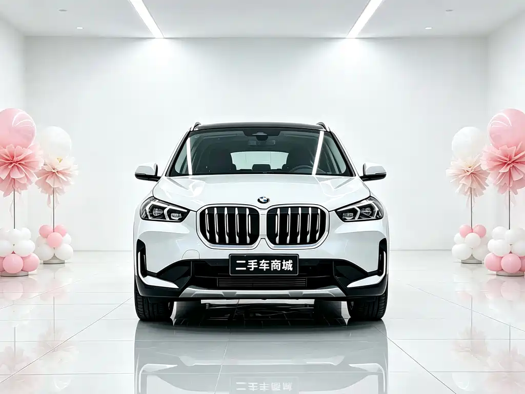 BMW X1 — миниатюра 2