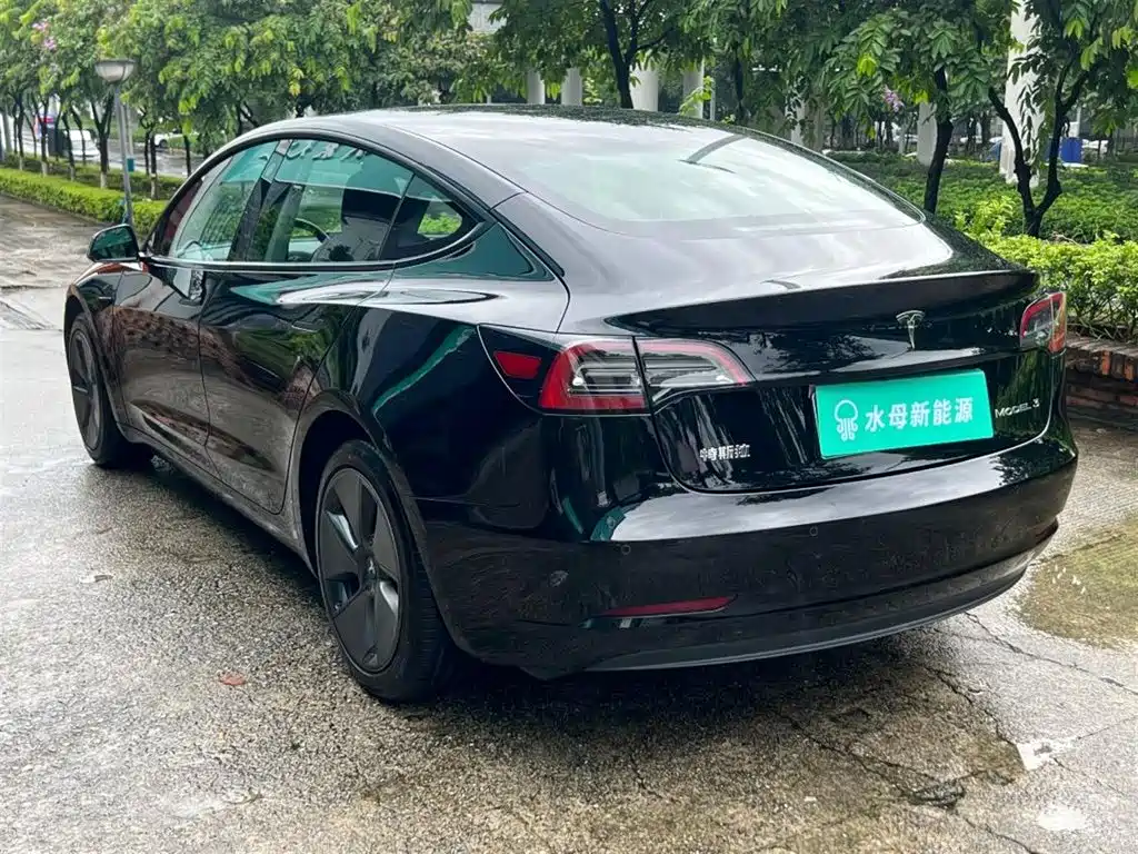 Tesla Model 3 — миниатюра 6