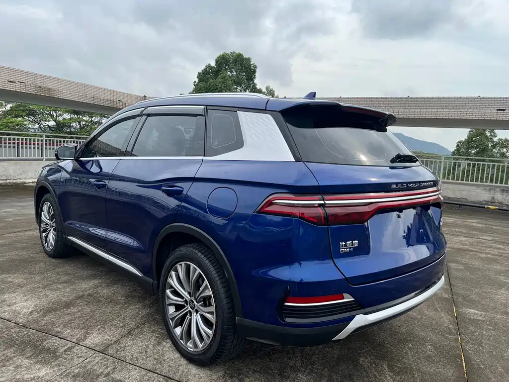 BYD Pro New Energy — миниатюра 4